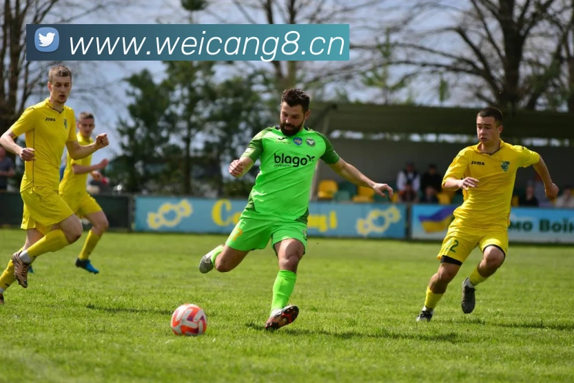 必一运动b官网全站App